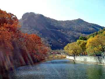 新澳天天开奖资料大全旅游团，崔亚东